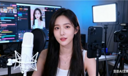 国产女主播直播平台91,引领潮流的娱乐新天地